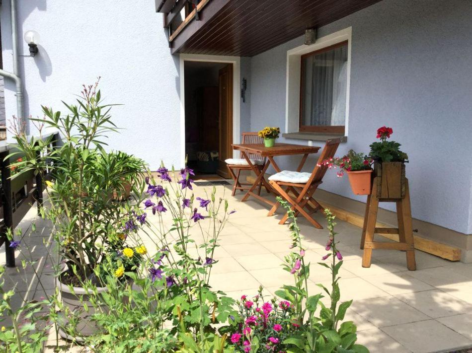 Pension Elblinge Apartment Prossen Bagian luar foto